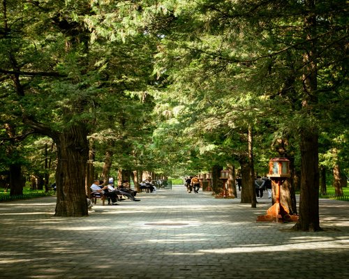 A person sitting on a bench in a city park taking a break